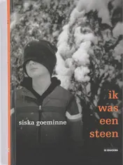 Omslag van Ik was een steen