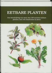 Omslag van Eetbare planten