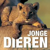 Omslag van Jonge dieren