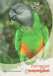 Omslag van Senegal Papegaai