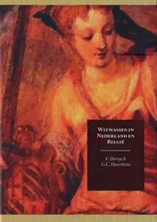Omslag van Witwassen in België en Nederland
