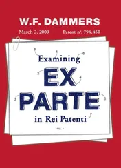 Omslag van Examining ex parte in rei patenti