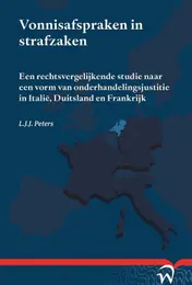 Omslag van Vonnisafspraken in strafzaken