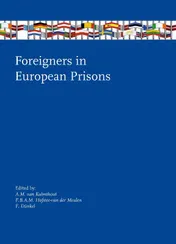 Omslag van Foreigners in European Prisons
