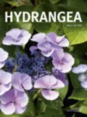 Omslag van Hydrangea