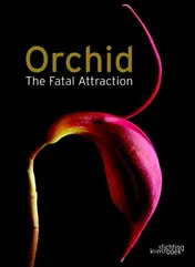 Omslag van The fatal attraction of orchids