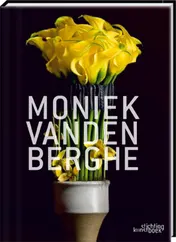 Omslag van Moniek Vanden Berghe