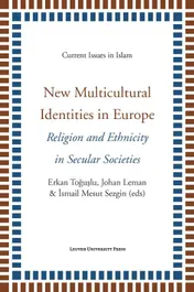 Omslag van New multicultural identities in Europe