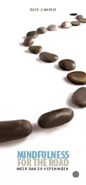 Omslag van Mindfulness (waaier)