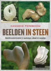 Omslag van Beelden in steen