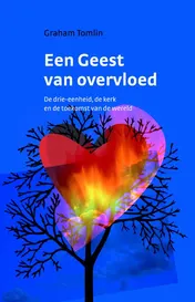 Omslag van Een geest van overvloed
