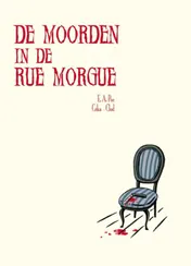 Omslag van De moorden in de Rue Morgue