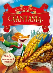 Omslag van Fantasia
