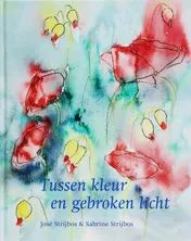 Omslag van Tussen kleur en gebroken licht