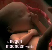 Omslag van Het negen maanden wonder