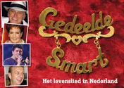 Omslag van Gedeelde smart