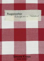 Omslag van Raapsteeltje