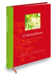 Omslag van O dennenboom