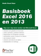 Omslag van Basisboek Excel 2016 en 2013