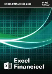 Omslag van Excel financieel 2013