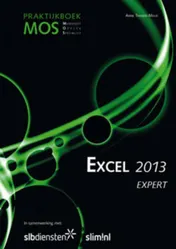 Omslag van Praktijkboek MOS Expert Excel 2013