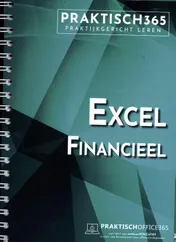 Omslag van Excel Financieel