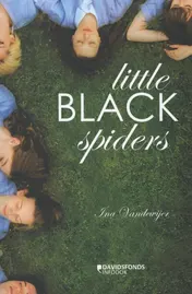Omslag van Little black spiders