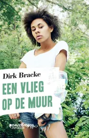 Omslag van Een vlieg op de muur