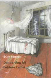Omslag van Donderslag bij heldere kemel