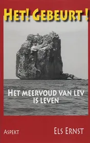 Omslag van Het Gebeurt!