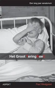 Omslag van Het groot Teringboec