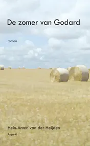 Omslag van De zomer van Godard