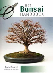 Omslag van Het Bonsai handboek