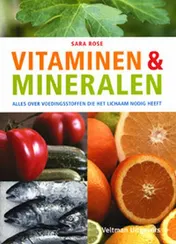 Omslag van Vitaminen en mineralen