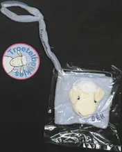 Omslag van Schaap BEH