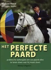 Omslag van Het perfecte paard