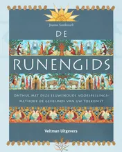 Omslag van De runengids