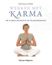 Omslag van Werken met karma