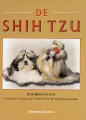 Omslag van De Shih Tzu