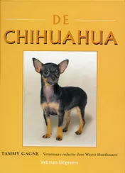 Omslag van De Chihuahua