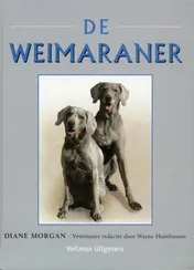Omslag van De Weimaraner