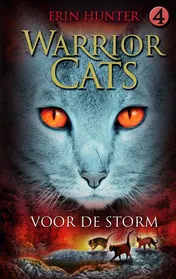 Omslag van Voor de storm