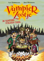Omslag van De vampiers strijken terug