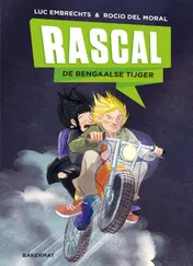 Omslag van Rascal: De Bengaalse tijger