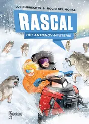 Omslag van Het Antonov-mysterie