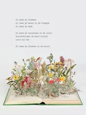 Omslag van Poezieposter Plint Jan Hanlo 'ik noem je bloemen' / Su Blackwell