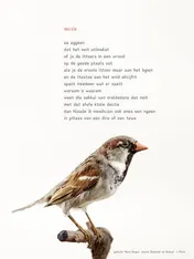 Omslag van Plint Poezieposter 'Dectie' Hans Hagen