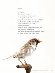 Omslag van Plint Poeziekaarten Navulset 'Dectie' Hans Hagen
