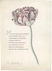 Omslag van 10 poëziekaarten plint met gedicht 'Mijn hert'