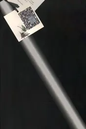 Omslag van Plint Poëzieposter '...zag jij misschien?' Joost Zwagerman